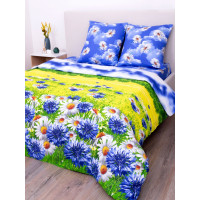 КПБ Delight бязь 1,5 спальный рис. 4268 Васильковое поле